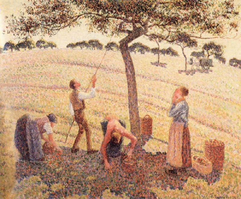 Camille Pissarro Apple picking at Eragny-sur-Epte China oil painting art
